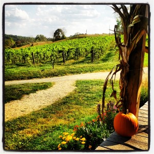 View of Vines off Porch at Hume